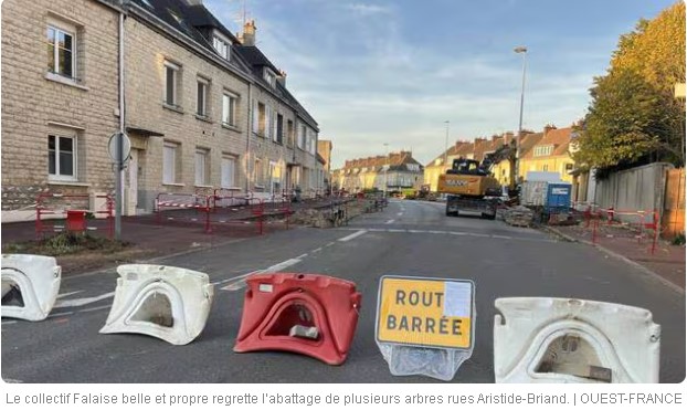 L’abattage d’une trentaine d’arbres en raison de travaux à Falaise fait débat